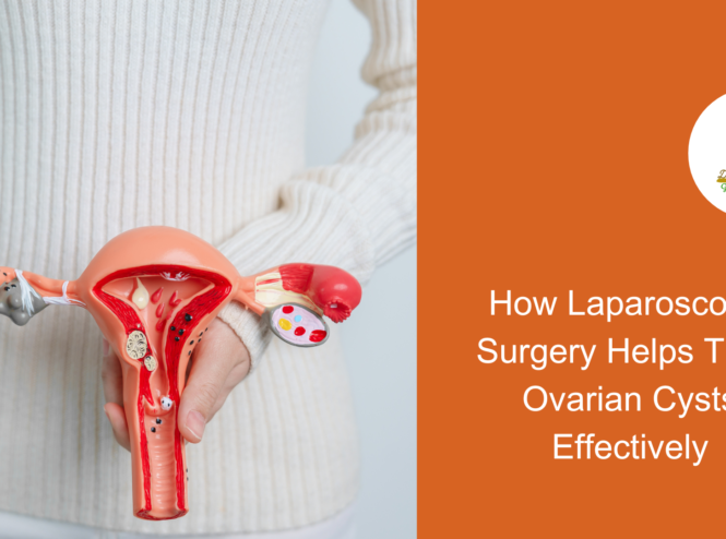 gynecologist in vasant kunj